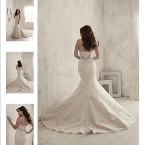 Wedding dress and veil